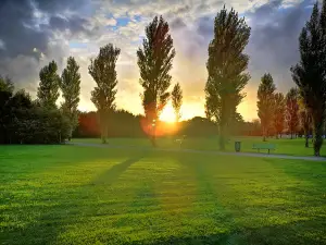 Castletroy Neighbourhood Park (Páirc Ceantair Chaladh an Treoigh)
