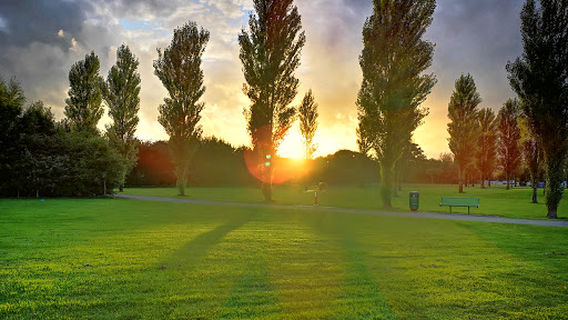 Castletroy Neighbourhood Park