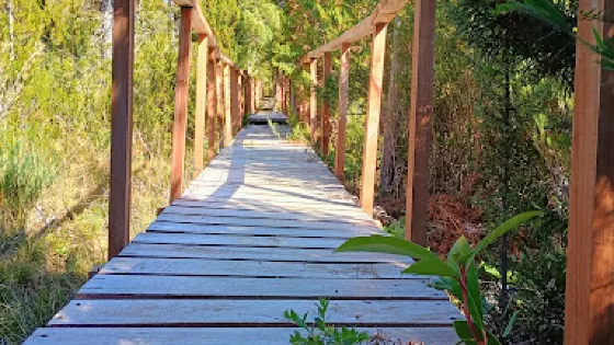 Valdivia National Reserve