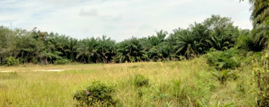 Lapangan Sepak Bola