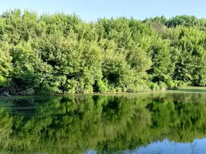 Zelenyy Ostriv