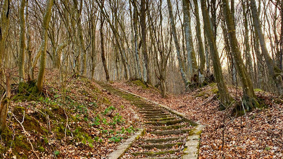 Vrdničke stepenice