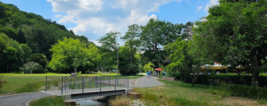 Kurpark Bad Bergzabern