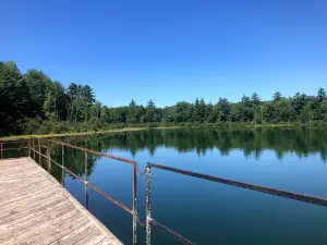 Leverentz Lake State Forest Campground