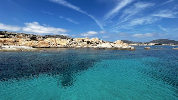 Posidonia Charter Asinara