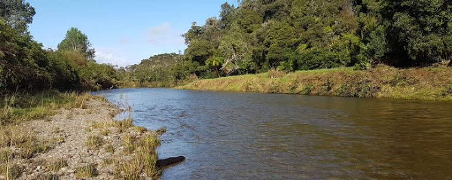 Forest Pools Picnic Area