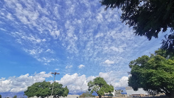 El Monte