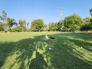 KDA Park