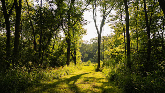 North River Valley Park