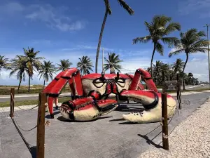 Crab Catwalk