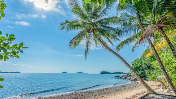 BIG4 Tasman Holiday Parks - South Mission Beach