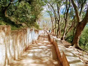 Kolli Hill Forest