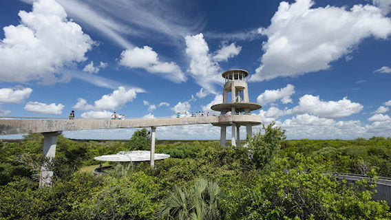 Shark Valley Observation Tower