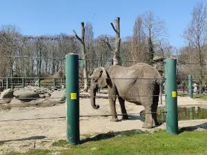 Aalborg Zoo