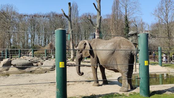 Aalborg Zoo