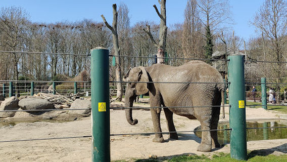 Aalborg Zoo