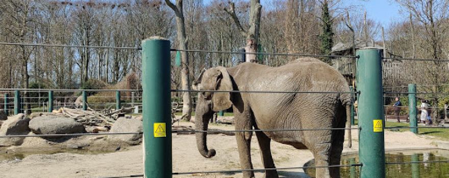 Aalborg Zoo
