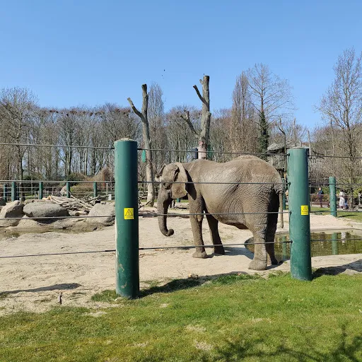 Aalborg Zoo