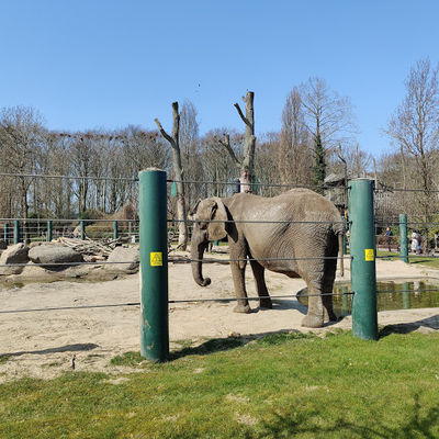 Aalborg Zoo