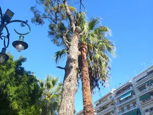 Plateia Olgas Square