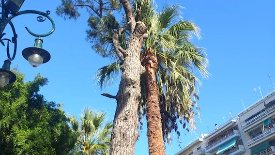 Plateia Olgas Square