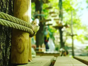 Majagreen Adventure Park Popoli