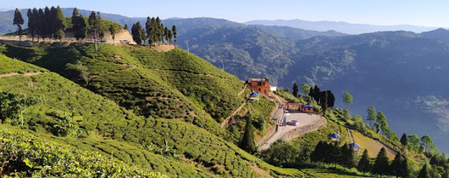 चिया बारी
