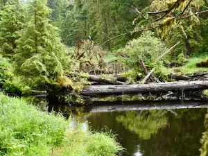 Beaver Falls Karst Trail