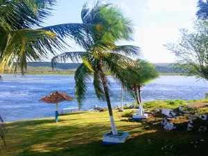 Balaucho