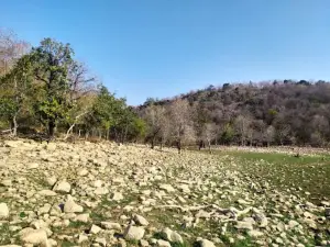 Заповедник Ганди Сагар Уайлдлайф