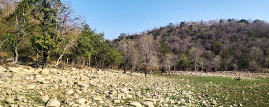Gandhi Sagar Wildlife Sanctuary