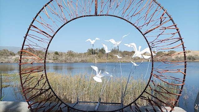 La Charca de Maspalomas