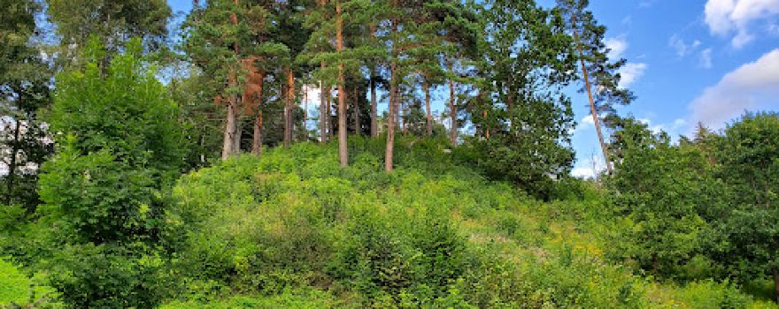 Naujoji Rėva Hillfort