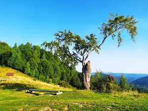 Hoydalka Na Hori Syhlin