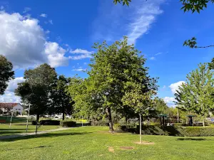 Parque Urbano de Tondela