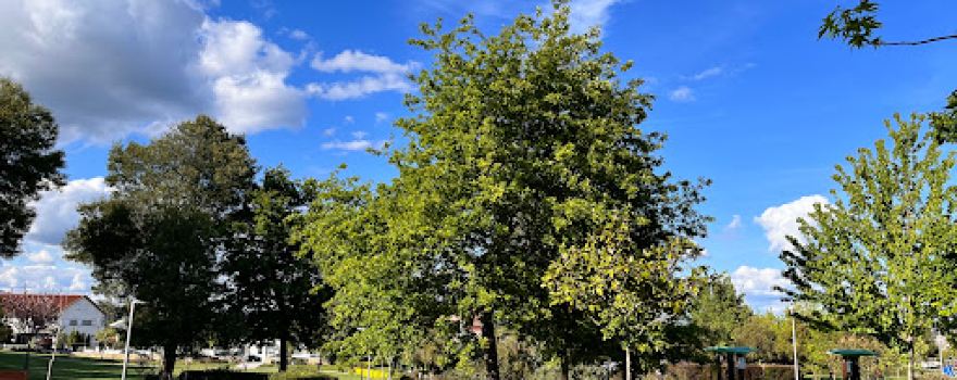 Parque Urbano de Tondela