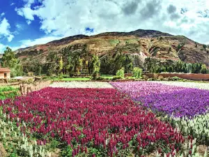 Tarma "Perla de los Andes"