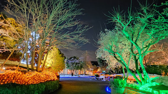 Nabana No Sato The Corridor of Light