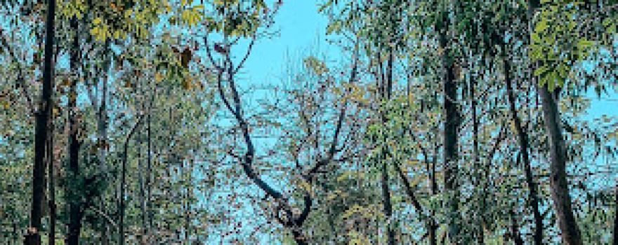 Vedant Valley