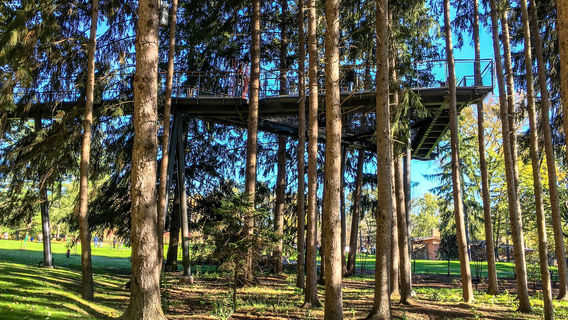 Dow Gardens and the Whiting Forest of Dow Gardens