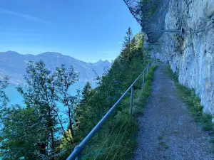 Buergenstock