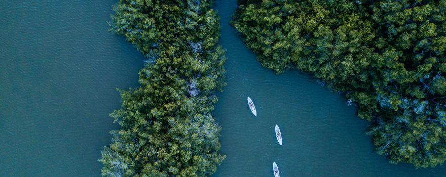 Fin Expeditions | Cocoa Beach's #1 Kayak Company