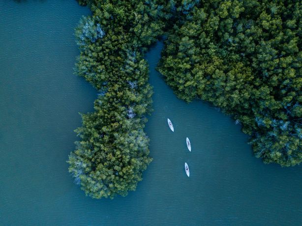 Fin Expeditions | Cocoa Beach's #1 Kayak Company