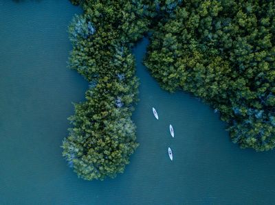 Fin Expeditions | Cocoa Beach's #1 Kayak Company