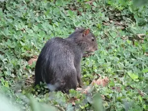 Zoo El Arca