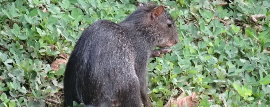 Zoo El Arca