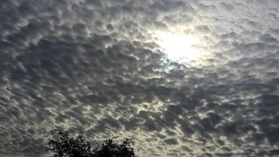 Parque Central Hermanos Escobar