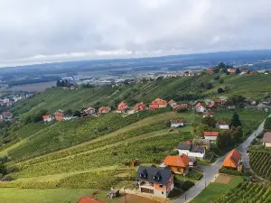Vinarium Tower