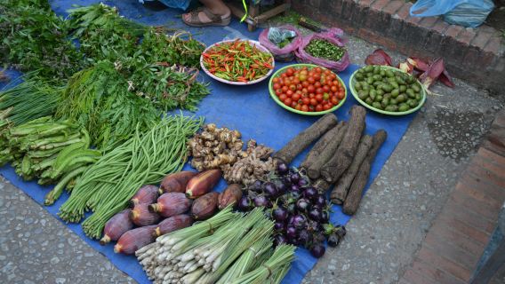 Luang Prabang morning market
