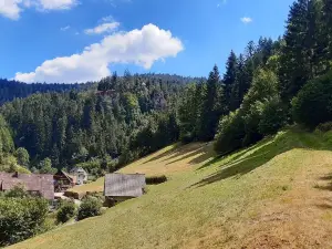 Burgbach Wasserfall
